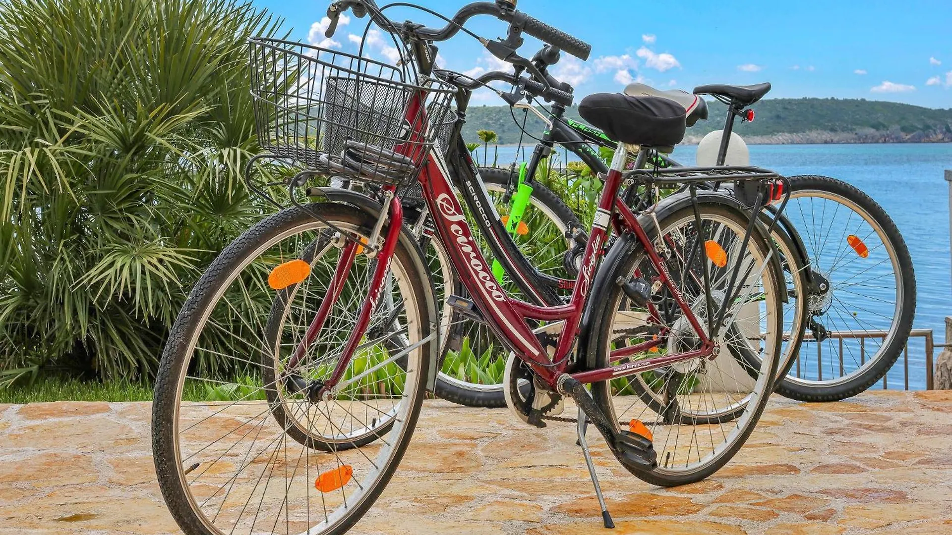 Rose Villa Zadar Holiday home